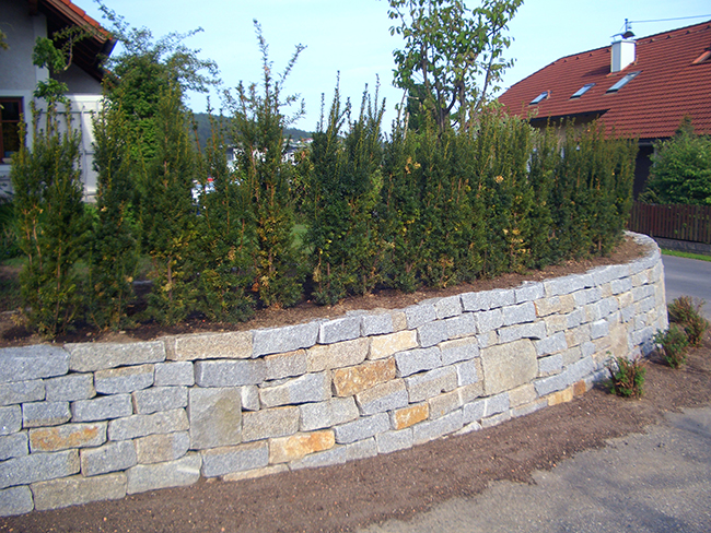 Granitsteinmauer vorm Haus, bepflanzt mit einer Hecke